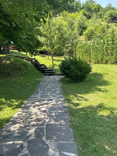 The image depicts a stone pathway leading through a lush, green outdoor area, likely a garden or park. The pathway is made of irregularly shaped dark stones, interspersed with lighter mortar. To the left of the pathway, a grassy slope rises, topped with a wooden staircase ascending into trees. The trees are dense and verdant, casting dappled shadows on the pathway. To the right of the pathway, a perfectly manicured, spherical green bush sits in the middle of a well-maintained lawn. Further to the right, a dense line of tall, dark green evergreen trees forms a natural barrier. The background features a hillside covered in a variety of trees and foliage, suggesting a natural, perhaps rural, setting. The overall impression is one of a peaceful, well-kept outdoor space bathed in sunlight.