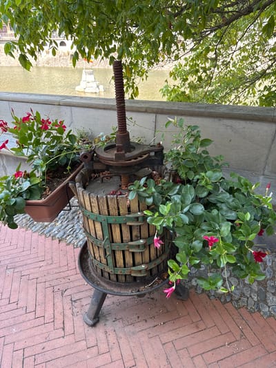 The image captures an outdoor scene in Dolceacqua, Italy, focusing on a vintage wooden wine press repurposed as a planter. The press, with its weathered wooden staves and metal bands, stands on a dark metal base. A large, rusty screw mechanism extends from the top. Lush green plants with vibrant pink and red trumpet-shaped flowers cascade from a brown plastic planter attached to the side of the press. Behind the press, a stone wall borders a body of water, likely the Nervia River, with a white monument in the middle. The ground is paved with red bricks laid in a herringbone pattern, interspersed with grey cobblestones. Overhead, green foliage from a tree partially obscures the sky. There are no people visible in the scene.