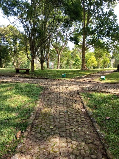 The image depicts an outdoor, natural environment, likely a park or wooded area, in New Serchhip, India. A textured stone-cobbled pathway, approximately 1.5 meters wide, extends from the immediate foreground into the middle ground, where it appears to diverge. The path is irregularly paved with grey and brown stones, some of which exhibit moss growth and are interspersed with dried leaves and pine needles. Green grass borders both sides of the pathway.

In the mid-ground, to the left of the path, a rectangular, dark brown park bench with a solid backrest is positioned on the grass. Beyond the bench and path, numerous tall trees with green foliage and visible trunks dominate the background, indicating a dense wooded area. Sunlight illuminates parts of the scene, casting distinct shadows on the grass and path, suggesting an overhead light source.

Two square-shaped, dark green objects are visible on the grass. One is located to the left of the pathway, positioned behind and slightly to the right of the park bench. The second green object is situated further back on the right side of the pathway. No individuals are present in the scene.