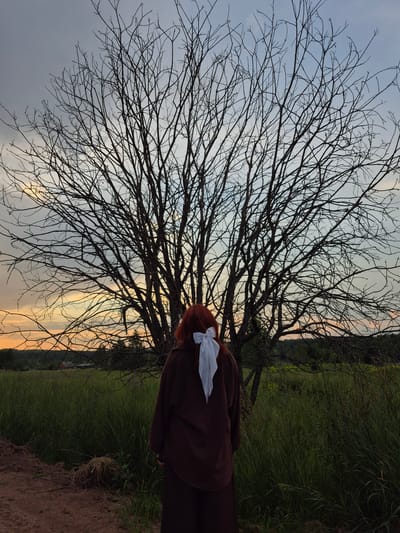 In Doinaya, Russia, an individual with auburn hair tied with a white ribbon stands with their back to the camera in a field of tall grass. They wear a brown, loose-fitting outfit. In the background, a large, bare tree dominates the scene with its intricate network of branches against a cloudy sky. The sunset casts a warm orange glow on the horizon, visible through the tree's branches. The ground in front of the person is a dirt path.