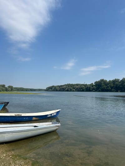 The image depicts a serene river scene on a sunny day, with a clear blue sky dotted with sparse white clouds. The river, calm and reflective, stretches towards a lush green tree line that borders the opposite bank. Two boats are partially submerged in the shallow, murky water near the shore, their hulls resting on the sandy and grassy embankment. One boat, white with a blue stripe, has the registration "CB. 6202" visible on its side. The other boat is a weathered silver-gray. The sunlight suggests it is daytime, likely late morning or afternoon, given the brightness of the sky. The overall impression is one of tranquility and a peaceful rural setting, possibly a common scene in Belene, Bulgaria, along the Danube River. No people are visible in the frame, and the focus is on the natural landscape and the moored boats.