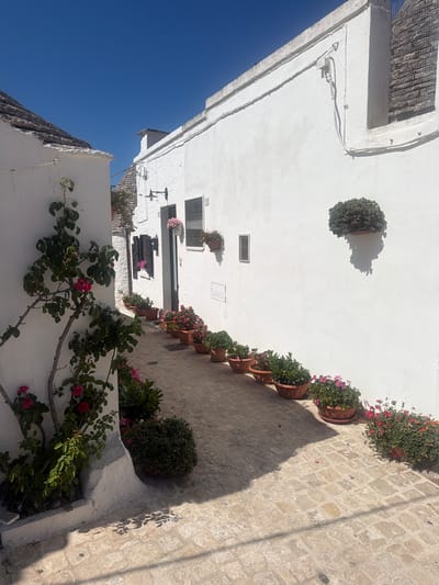The image depicts a narrow, sun-drenched cobblestone alleyway in Alberobello, Italy, characterized by the iconic trulli buildings with their conical stone roofs. The walls of the trulli are whitewashed, reflecting the bright sunlight. The alley is lined with numerous terracotta pots filled with vibrant pink and red flowers, and lush green foliage. A rose bush with pink blossoms climbs the white wall on the left side of the alley. Shadows of leaves and branches are cast across the cobblestones. The sky above is a clear, deep blue. No people are visible in the scene.