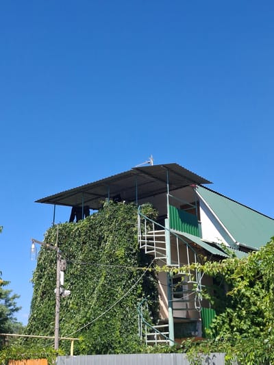 A two-story house is covered in dense green ivy. The house has a green metal roof and a white facade. A spiral staircase leads to a covered balcony on the second floor. On the balcony, two figures are visible, one wearing black pants. A street light with a clear globe hangs from a utility pole in front of the house, adorned with security cameras and other equipment. The sky is clear and blue. The location is the Щебетовский поселковый совет in Ukraine.