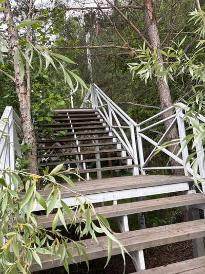 A wooden staircase with white railings ascends through a dense forest. The staircase is constructed with weathered wooden planks for the steps and a white metal railing with a diamond pattern. Green foliage from trees partially obscures the view of the staircase and the surrounding forest, which consists of pine and deciduous trees. The ground beneath the stairs is covered with dry leaves and pine needles. The image appears to be taken from a low angle, looking up the stairs. The location is identified as Kostovaty, Russia. There are no people or animals visible in the image.
