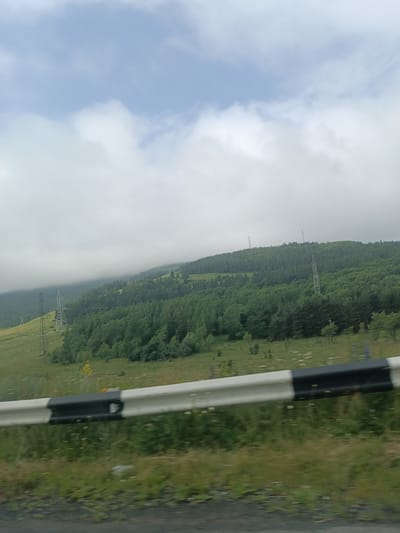 The image captures a cloudy day in the mountainous region of Khnkoyan, Armenia. In the foreground, a black and white striped guardrail runs horizontally across the frame, indicating a roadside view. Beyond the guardrail, a grassy hillside slopes upwards, dotted with wildflowers. Further up the slope, a dense forest of green trees covers the mountainside. Several tall, metal transmission towers, characteristic of utility infrastructure, are visible scattered across the landscape, one of them prominently placed on the left side of the image. The sky above is overcast with soft, white clouds, obscuring any clear view of the sun. The overall atmosphere is serene and natural, with a hint of human presence through the power lines.