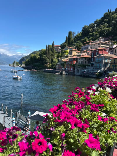 In the foreground, a dense arrangement of magenta and white petunias overflows from a planter, their vibrant colors contrasting with the deep blue water of Lake Como. To the left, a modern gray dock with white and blue bollards extends into the water, where a person in a white shirt is visible near a small covered waiting area. A white sailboat with a single sail is anchored in the lake. In the mid-ground, the picturesque town of Varenna clings to a steep hillside, its buildings painted in warm hues of red, orange, and yellow, interspersed with lush green trees. The architecture features terracotta roofs and balconies. Beyond the town, a dramatic mountainous landscape under a clear blue sky forms the backdrop. The scene depicts a sunny day in Varenna, a charming lakeside town in Italy.