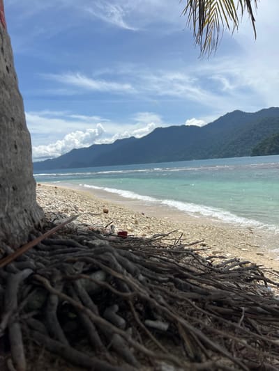 The image depicts a tropical beach scene in Kruengtunong, Indonesia. In the foreground, the gnarled roots of a large tree are visible, covered in dry leaves and debris. The beach itself is composed of small, light-colored pebbles and shells, with a scattering of coconuts. Gentle waves lap at the shore, transitioning into turquoise and deeper blue ocean waters. In the distance, a range of verdant, mountainous islands rise from the sea, partially obscured by soft, white clouds against a bright blue sky. A few palm fronds hang from the upper right corner of the frame, hinting at lush vegetation. The scene is tranquil and bathed in sunlight, conveying a sense of remote natural beauty.