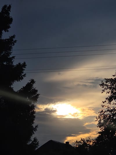 This image captures a dusky sky over the city of Volgograd, Russia, specifically within the Voskhod SNT (Frolovo) area. The sky is a blend of deep blues and grays, with streaks of pale yellow and orange indicating the presence of the setting sun. Several power lines are visible, stretched horizontally across the upper portion of the frame. On the left and right sides of the image, the dark silhouettes of evergreen trees frame the sky. In the lower part of the image, the dark silhouette of a building roof, possibly with a chimney, is visible, partially obscured by more trees. The overall scene depicts a natural environment at twilight, with human infrastructure subtly integrated.