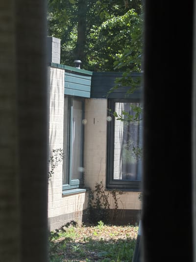 An exterior shot, taken at eye level, looks through a window in Heijen, Netherlands, at a brick building with two windows. The left window is taller and narrower than the right, which is wider and shorter. Both windows are framed with dark grey, and the glass is partially obscured by sheer curtains, showing a reflection of trees and foliage. The building's facade is made of light-colored brick with dark grey mortar. A dark grey, horizontal band runs across the top of the windows, and a dark green overhang extends from the roof. To the left of the windows, a dark grey chimney with a black cap rises from the roof. Green ivy vines climb the wall to the right of the right window. The ground in front of the building is covered with dry leaves and patches of green grass. The overall lighting suggests it is daytime, with bright sunlight casting shadows from the trees. The image is framed by dark, out-of-focus elements on the left and right edges, suggesting the photo was taken from inside looking out.