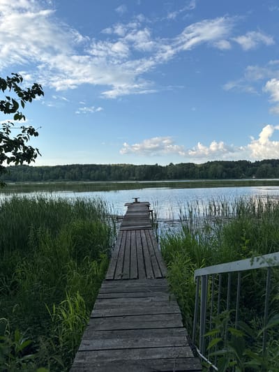 An eye-level, wide shot captures a wooden pier extending into a calm lake under a bright blue sky filled with scattered white clouds. Lush green reeds and vegetation flank both sides of the pier, creating a natural border. In the distance, a dense line of trees forms the horizon, with hints of human habitation subtly visible amongst the foliage. To the right of the pier, a metal railing and steps lead down towards the water. The scene is serene and evokes a sense of tranquil nature, possibly located near the city of Burdyata, Russia, given the style of the wooden pier and the surrounding natural landscape.