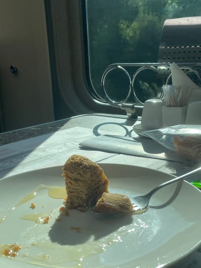 A white plate on a patterned placemat holds the remains of a dessert, possibly honey cake, partially consumed with a fork. A dollop of honey sauce surrounds the cake. A stainless-steel utensil holder containing napkins, salt and pepper shakers, and a packet is mounted next to a train window with greenery visible outside.