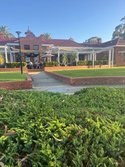 The image displays the exterior of The Raffles Hotel, located in Applecross, Australia, under a clear blue sky. The building is constructed of red brick with a red tiled roof, featuring multiple gables and a small, decorative spire atop the central section. An elevated outdoor patio extends from the building, covered by white pergolas with beige retractable awnings.
On the patio, several individuals are seated at tables with chairs, engaged in dining or socializing. At least one beige market umbrella is open over a table. Potted plants are strategically placed around the patio area.
In the foreground, a dense bed of low, vibrant green shrubs with scattered dry leaves occupies the bottom half of the frame. A light-colored paved pathway, approximately 1.5 meters wide, cuts through a grassy area, leading directly towards the building's entrance. This pathway is bordered on both sides by low red brick walls, which define manicured green lawns. A circular metal grate or manhole cover is visible embedded in the pathway.
A tall black lamppost stands to the left of the pathway in the midground. Behind the hotel, several palm trees are visible, and further to the right, taller deciduous trees rise against the horizon. The sunlight suggests either early morning or late afternoon, casting warm light on the building and grounds.