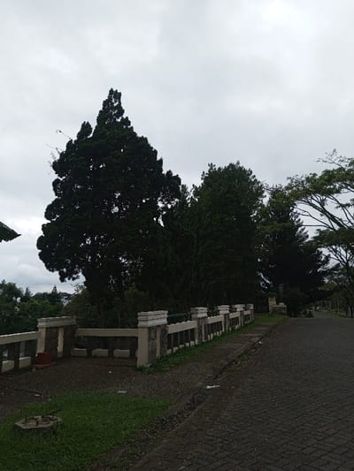 A low concrete wall runs along a paved road. Beyond the wall, tall, dark green trees rise against an overcast sky. Vegetation grows near the wall's base and on the side of the road. The road itself is made of dark bricks or stones. The scene is muted and somewhat gloomy, typical of an overcast day in a park-like setting.