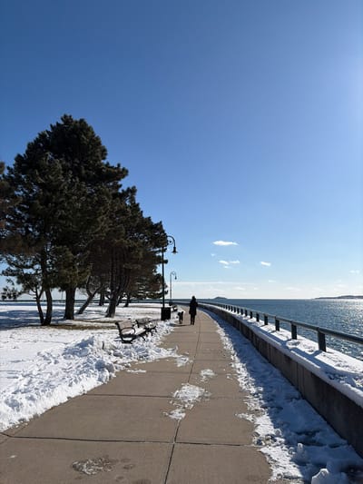 A wintery scene shows a waterfront walkway along a body of water under a clear blue sky. A person walks with a dog in the distance. Snow lines the walkway on one side near a guardrail. Trees line the opposite side of the walkway, some near benches and lampposts. The sun glints off the water in the background.