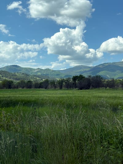The image depicts a landscape with a mountainous backdrop under a partly cloudy sky. The foreground features tall, wild grass and green vegetation. A line of trees is visible, separating the grassy field from the foothills of the mountains. The sky is bright blue with fluffy white clouds. The image appears to be taken in a rural or semi-rural setting. Given the prompt, the location of Mirkovo, Bulgaria is implied.