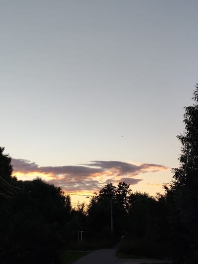 A wide-angle, low-light, vertical shot captures the sky and treeline in Venyukovo, Russia, during what appears to be sunset. The sky is a pale, muted blue-grey, transitioning to a soft orange and pink hue near the horizon, where scattered, thin clouds are visible, tinged with the warm colors of the setting sun. A tiny black speck, likely a bird or airplane, is barely discernible in the upper left quadrant of the sky. The foreground is dominated by a dense, dark silhouette of trees, forming an unbroken line across the lower half of the image. On the left side, power lines are strung between unseen poles, crossing over the dark foliage. A paved path or road curves from the bottom right corner into the shadowy depths of the trees. A vertical white pole, possibly a fence post or signpost, is visible near the center-right, emerging from the dense vegetation. The overall impression is a serene, natural landscape at dusk, with human infrastructure subtly present.