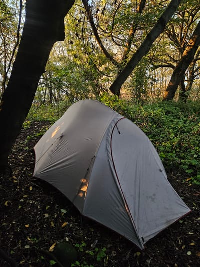 A white tent is pitched on a bed of fallen leaves and green ground cover in a wooded area near Villarrica, Chile. The tent is positioned between two trees, with sunlight filtering through the branches, casting shadows on the forest floor and the tent's surface. The surrounding environment consists of a mixture of foliage and debris, indicative of a natural, outdoor setting. There are no people visible in the frame.