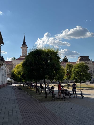 The image displays an outdoor urban scene within Bečej Municipality, Serbia, captured on a sunny day under a clear blue sky dotted with scattered white cumulus clouds. A wide, paved pedestrian walkway, composed of rectangular grey pavers laid in a stretcher bond pattern, dominates the left side of the foreground.

Adjacent to this walkway, a grassy median is lined with a row of mature green trees, which cast distinct shadows towards the right and rear, indicating bright sunlight from the left. Numerous park benches are positioned beneath these trees, with multiple individuals seated or relaxing, engaged in casual activities.

In the mid-ground, a prominent light-colored building, likely the Bečej City Hall, features classical architectural elements and a tall, ornate clock tower. The tower includes a clock face, a domed base, and a pointed spire capped with a weather vane. To the immediate right of this building, another substantial structure with a distinctive reddish-brown, multi-tiered roof and intricate detailing is visible. On the far left, a row of older, multi-story buildings with balconies line the edge of the paved area.

Several bicycles are present across the scene: one dark bicycle lies on its side on the paved walkway in the mid-left, a light-colored bicycle stands upright under the trees, and a dark bicycle is parked upright near a group of people in the foreground right. This group includes a woman in a dark t-shirt and light pants standing with her arms crossed, a young girl in a red t-shirt and shorts, and an adult seated on a bench. Additional people are observed seated on benches further in the background among the trees. A decorative streetlight adorned with hanging flower baskets is positioned among the trees on the right, and large square planters are visible in the far-right background.
