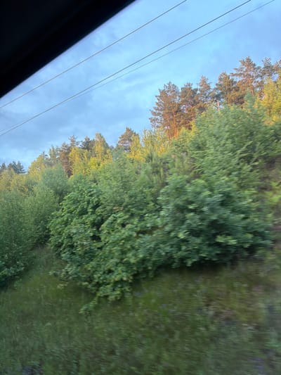 The image depicts a view from a moving vehicle, likely a train, traversing through a forest. The sky is visible with some clouds. Power lines run parallel to the direction of travel. The trees vary in type, with some being coniferous and others deciduous. The ground is covered in vegetation. The location is presumed to be near Arsk, Russia. No people are visible.