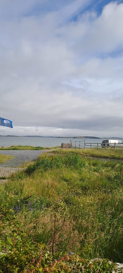 This is a landscape photograph taken from Pier Road in Ireland. The image is oriented vertically. In the foreground, there is a path made of cobblestones and gravel leading towards a body of water. To the right of the path, tall, green grass and vegetation grow, with some smaller purple flowers visible. A dark brown, almost black, metal pole is stuck in the ground in the middle of the grass. Further back, a wooden fence is present, and beyond that, a white vehicle, possibly a van or RV, is parked.
The scene overlooks a body of water that appears to be calm. In the distance, a hazy shoreline is visible under a cloudy sky. The sky itself is filled with white clouds, with hints of blue peeking through in some areas. A blue flag with a white logo is flying at the bottom left of the image. The time of day appears to be daytime, given the lighting, and the weather is overcast. The overall mood is peaceful and serene, capturing a natural coastal environment.