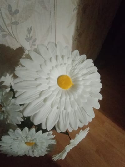 The image depicts a close-up of several artificial white daisies with yellow centers arranged on a wooden surface. The daisies vary in size, with one large, prominent daisy in the foreground, and two smaller ones positioned below it. Another smaller, partially visible daisy is to the left of the main flower. The background features a textured wallpaper with a subtle floral pattern, and a dark, out-of-focus area to the right, suggesting a shadowed corner or a wall. The lighting in the image is dim, casting shadows and creating a moody atmosphere. The scene is static, with no visible people or activity. The context of Maladzyechna, Belarus, is not discernible from the visual information presented in the image itself.