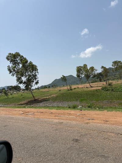 This image depicts a rural landscape under a clear blue sky with scattered white clouds. In the foreground, a grey asphalt road curves into the lower left corner of the frame, partially obscured by a black car mirror. To the right of the road, a strip of reddish-brown dirt transitions into a grassy field.

The mid-ground is characterized by rolling green hills dotted with trees. A prominent, windswept tree with sparse green foliage stands to the left, leaning towards the right. In the distance, a herd of white animals, possibly goats or sheep, grazes on the grassy slopes. Several other trees are scattered across the landscape, some appearing to be eucalyptus due to their leaf structure. Further in the background, a series of darker green, tree-covered mountains form the horizon.

The environment appears dry and somewhat arid, with patches of sparse vegetation and the reddish soil indicating a possible dry season. The presence of the road and the grazing animals suggests a settled, possibly agricultural or pastoral area. The overall scene conveys a sense of open space and natural beauty. The location is identified as Lankoviri, Nigeria.
