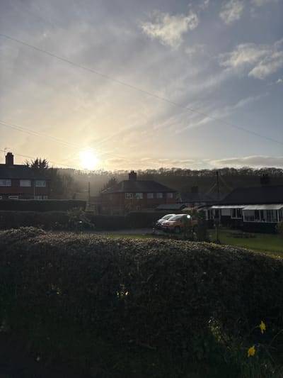 The image depicts a residential street scene in Stiperstones, United Kingdom, under a low-angle sun that suggests either early morning or late afternoon. The sky occupies the upper two-thirds of the frame, showing a bright, diffused sun on the left, casting a strong glare and lens flare. The sky transitions from bright yellow-white near the sun to a pale blue-grey with scattered cirrus and stratocumulus clouds towards the upper right. Multiple thin, dark utility lines traverse the sky horizontally.
The middle ground features a row of two-story residential houses with dark pitched roofs and chimneys. On the left, a house with visible red brickwork and light-colored windows is partially obscured by trees. Further right, other houses are visible, including one with a single-story conservatory or sunroom extension on its front. In front of one of these houses, two compact vehicles are parked on a driveway or road: a bright orange car (possibly a van) and a darker, smaller vehicle partially behind it. A dense, dark treeline forms a prominent horizon across the background, indicating a wooded hill or ridge.
The foreground is dominated by a dark, dense, trimmed hedge that runs across the lower portion of the image. The top surface of the hedge shows some highlights from the low sun. To the bottom right, a patch of green grass is visible, containing at least two yellow daffodils in bloom. No individuals are present in the scene. Overhead utility poles and lines are discernible throughout the residential area.