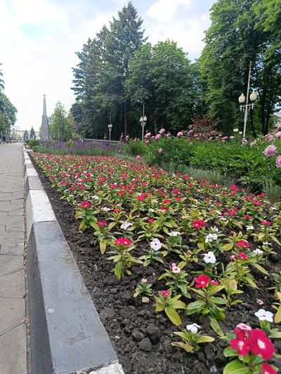 The image depicts a paved walkway bordering a large flowerbed filled with numerous small, flowering plants. The flowers are predominantly red and white. In the background, a monument is visible, flanked by trees and lampposts. The sky is overcast. The location is identified as the Eternal Flame memorial in Gubkin, Russia.
