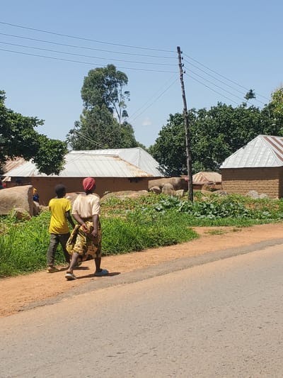 Two people, an adult and a child, are walking along a dirt road in Panyam, Nigeria. The adult, wearing a light-colored shirt and a patterned skirt, has a red cloth wrapped around their head. The child, in a bright yellow t-shirt and dark pants, walks slightly ahead. They are in a rural setting with traditional brick houses with corrugated metal roofs visible to the left, surrounded by lush green vegetation and trees. A utility pole with multiple wires stretches across the scene, indicating the presence of electricity. The road is a mix of dirt and asphalt. The sky is clear and blue, suggesting a sunny day, likely in the morning or afternoon given the shadows. The overall mood appears calm and ordinary, depicting everyday life in a Nigerian village. No visible text is present in the image.