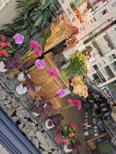 The image is a top-down, angled view of a flower shop window display in Antony, France, with reflections of buildings and sky superimposed on the scene. The display features a variety of flowers, including pink orchids, fuchsia-colored gerbera daisies, and light pink roses, arranged in vases and pots. Some potted plants with dark red leaves are also present. The background of the display consists of wooden surfaces and textured, light-colored decorative elements that resemble stacked logs or shells. The reflections show a multi-story building with balconies and windows, suggesting an urban setting. There are no people visible in the image.
