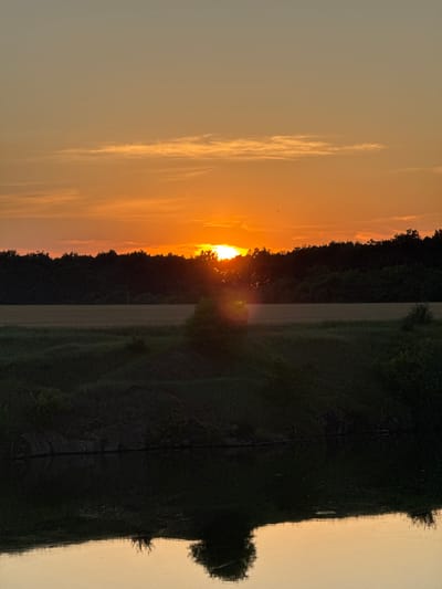 The media file depicts a sunset scene in Horodyshche, Ukraine. The sun is setting over a treeline, casting a warm, orange glow across the sky and illuminating wispy clouds. The reflection of the trees and sky is visible on what appears to be a calm body of water, creating a mirrored image of the scene above. The foreground is dominated by the dark silhouettes of trees and a path or field. The overall mood is serene and tranquil, typical of a sunset. The time of day is clearly evening, and the weather appears clear to partly cloudy. There is no visible text in the image.