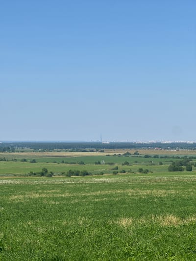 This is a wide-angle, eye-level, full outdoor shot of a rural landscape under a clear blue sky in Bol'shie Tomiki, Russia. The foreground is dominated by a lush, green field of grass and clover, with some patches of dried grass interspersed. In the middle ground, there are more fields of varying green hues, some appearing cultivated, and scattered clumps of trees and bushes. Further in the distance, a dense line of dark green forest stretches across the horizon. Beyond the forest, a hazy cityscape with numerous buildings is visible, and to the left of the cityscape, a tall, slender skyscraper pierces the sky. The overall scene conveys a sense of open space and a clear day.