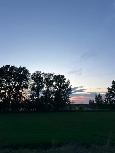 The image depicts a landscape at dusk, with a vast expanse of a clear, pale blue sky dominating the upper portion. A line of silhouetted trees runs horizontally across the midground, their dark forms stark against the fading light. Below the trees, a dark green field stretches towards the foreground. The sky near the horizon shows faint wisps of clouds tinged with pink and orange, indicating the setting sun. The location is identified as Elanda, Russia. There are no people or specific identifiable objects within the scene, and the overall impression is one of natural tranquility and fading daylight.