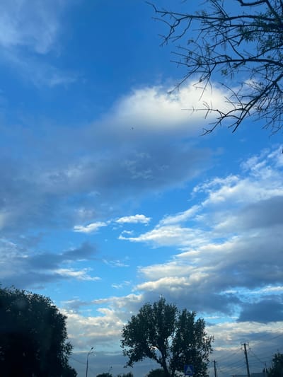 A frontal shot captures a dynamic sky over Mineralnye Vody, Russia, dominated by a bright blue canvas streaked with diverse clouds. Wispy cirrus clouds intermingle with larger, darker cumulus formations, creating a sense of depth and movement. The upper right portion of the frame is partially obscured by the dark silhouette of a tree's bare branches, their intricate network creating a stark contrast against the luminous sky. Below, the silhouettes of lush green trees frame the bottom of the image, their foliage dense and dark. A single bare tree stands prominently in the middle ground, its full canopy silhouetted against the sky. Interspersed within the cloudy expanse are at least two small, dark specks, likely birds in flight. In the lower right quadrant, power lines and utility poles are visible, along with a road sign depicting a pedestrian crossing, indicating an urban or suburban setting. The lighting suggests it is either early morning or late afternoon, given the soft, diffused light and the color of the sky.