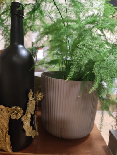 The image depicts a still life arrangement on a wooden surface, with a focus on a black matte bottle adorned with textured golden elements resembling bark and flowers. To the right of the bottle is a light-colored ribbed planter containing a vibrant green plant with delicate, feathery foliage. The background is softly blurred, showing hints of white and green, suggesting an indoor setting. The scene is likely from a residential or decorative interior space within the city of Alabino, Russia. No people or actions are visible.