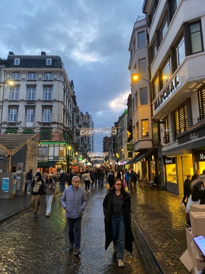 The image captures a bustling street scene in Liège, Belgium, under an overcast sky, likely at dusk or on a heavily clouded day, following recent rain. The perspective is from street level, looking down a pedestrian-filled thoroughfare lined with multi-story buildings.
In the foreground, two individuals are prominent. On the right, a woman with glasses, dressed in a dark long coat and blue jeans, stands facing the camera. To her left, slightly closer to the viewer, a man with gray hair and glasses wears a light blue puffer jacket and dark trousers, also facing forward.
The street is paved with cobblestones, which are wet and highly reflective, mirroring the numerous artificial lights from storefronts and streetlamps. Overhead, decorative string lights with intricate, glowing patterns are strung across the street, adding a festive ambiance.
The buildings on either side of the street display varied architectural styles, featuring numerous windows and ground-floor storefronts that emit warm light. Visible text on signs includes "J. MARCHANT" and "Pollux" on a building to the right, and "MARSHAL" further down. On the left side, a sign for "Jeanne Clesse" is partially discernible. Many other businesses line the street, contributing to the urban activity.
Numerous other pedestrians are scattered along the street, walking in both directions, suggesting a lively shopping or social area. The sky is largely obscured by dense, grey clouds, with a subtle lighter patch providing a hint of light. The overall impression is that of a busy European city street during a damp and atmospherically lit evening or late afternoon.
