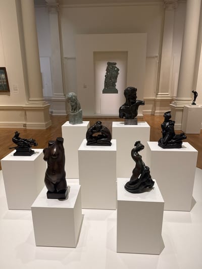 This image depicts an interior view of a sculpture gallery within the Art Gallery of New South Wales, located in The Domain, Sydney, Australia. The environment features a well-lit hall with light-colored walls, polished light-brown timber flooring, and tall, fluted classical columns with ornate capitals.

In the foreground and midground, seven distinct bronze sculptures are displayed on rectangular white plinths of varying heights. From left to right, these objects include: a small, dark bronze recumbent figure on a black base; a dark bronze headless and limbless female torso on a black base; a textured male bust with a greenish patina and a beard, positioned on a dark base; a dark bronze male bust facing right with a partially visible right arm, placed on a dark marble base; a dark bronze crouching or kneeling figure with head bowed and arms crossed over its chest; a dark bronze female figure with an elaborate headdress, depicted with a serpentine form, on a black base; and a dark bronze seated female figure with intertwined limbs.

In the central background, a large, complex dark bronze sculptural group featuring multiple figures is prominently displayed within an illuminated recessed alcove, elevated on a white plinth. To the far right background, a small, slender dark bronze standing figure is visible on another white plinth. A framed painting with blue and white tones is partially visible on the far left wall. No individuals are present in the scene, and no actions or interactions are depicted.