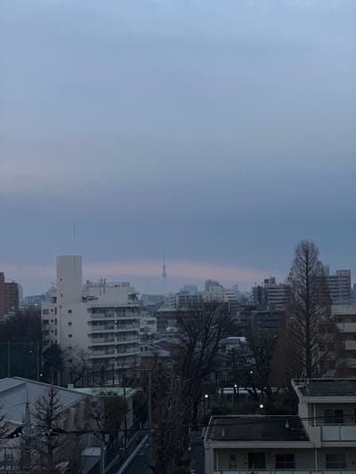 The image depicts an urban cityscape in Nakano, Japan, viewed from an elevated position during twilight or a heavily overcast period. The sky, occupying the upper two-thirds of the frame, is a uniform blue-grey, darkening slightly towards the horizon. In the distant background, the slender silhouette of the Tokyo Skytree is visible, partially obscured by atmospheric haze, rising above a dense collection of multi-story buildings.

The mid-ground is characterized by a sprawling arrangement of residential and commercial structures, varying in height from approximately four to eight stories, predominantly in shades of white, grey, and light brown. A prominent white building with a flat roof and a vertical mast on its peak is located in the mid-left. Throughout the mid-ground and lower foreground, numerous bare deciduous trees, indicative of winter or early spring, are interspersed among the buildings.

The immediate foreground features the dark, flat rooftops of lower-rise structures. A paved road or pathway runs horizontally across the lower central portion of the image, bordered by white guardrails or barriers. Overhead utility lines and poles are visible in the lower-mid section. Several streetlights emit a faint yellow illumination within the urban fabric. No individuals or specific activities are discernible in the scene.