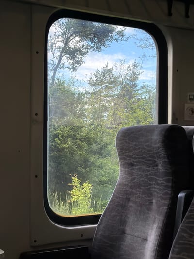 The image is an interior view through a rectangular train window. Outside, there is a blue sky with scattered white clouds, and a dense forest with green trees. Inside, part of a grey fabric-covered seat is visible on the right, while a small electrical outlet is seen in the upper left corner above the window. The train carriage interior is mostly light grey. The location is likely near Sveta Petka, Bulgaria, based on the prompt's implied origin.