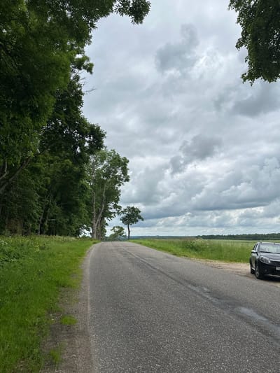 The image captures a scenic view of a paved road curving through a rural landscape, likely in the vicinity of Хаценчыцкі сельскі Савет, Belarus. The road is flanked by lush green grass and a dense line of mature trees on the left, their branches extending overhead, partially obscuring the overcast sky. On the right side of the road, a dark-colored sedan is parked. Beyond the grassy field on the right, a treeline is visible in the distance, with a few solitary trees standing in the open field along the road. The sky is filled with heavy, grey clouds, suggesting a somber or potentially rainy day. The overall impression is one of a quiet, natural setting with a hint of human presence from the parked vehicle.