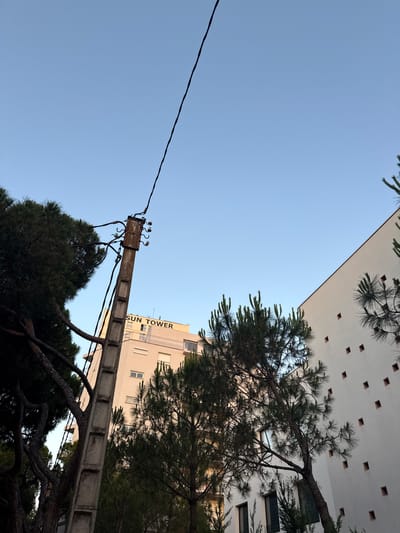 A low-angle, full shot captures a utility pole and a building in Platja d'Aro, Spain. The concrete utility pole, weathered and stained, stands prominently on the left side of the frame. It is topped with electrical insulators and wires that extend diagonally across the upper portion of the image. Partially obscuring the pole is the dark, dense foliage of a large evergreen tree. Behind the utility pole and tree, a light-colored building with the sign "SUN TOWER" is visible. The building has several windows and balconies, suggesting it is residential or commercial. To the right of the "SUN TOWER" building, a modern, white building with a series of small, square, dark-colored windows is partially visible. This building's facade angles sharply towards the right edge of the frame. In the foreground and scattered throughout the scene are more evergreen trees with fine needles, their branches reaching towards the clear, pale blue sky. The scene is illuminated by what appears to be late afternoon or early morning light, casting subtle shadows.