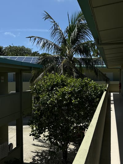 The image depicts a courtyard area between buildings, possibly a school or residential complex, under a bright, sunny sky. A large palm tree dominates the center, its fronds casting shadows on the ground. To the left, a building with a light green exterior is visible, featuring solar panels on its roof and an open walkway with stairs. To the right, a covered walkway with a tiled floor extends into the distance, with a bright red fire extinguisher mounted on the wall. A dense green bush is situated in the foreground, obscuring part of the courtyard. The ground appears to be paved with concrete. The overall impression is one of a tropical, well-maintained outdoor space bathed in natural light.
