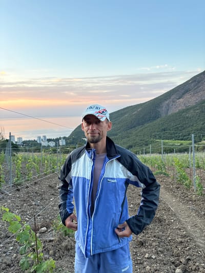 A medium shot shows a man standing in a vineyard at dusk. He is wearing a blue and white athletic jacket, blue athletic pants, and a white baseball cap with "SOCHI" written on it. He has a goatee and is looking towards the camera. In the background, there are rows of young grapevines, a mountain range, and a city with several white buildings. The sky is a pale blue with streaks of pink and orange from the sunset. The vineyard is located in the city of Lavrovoe, Ukraine.