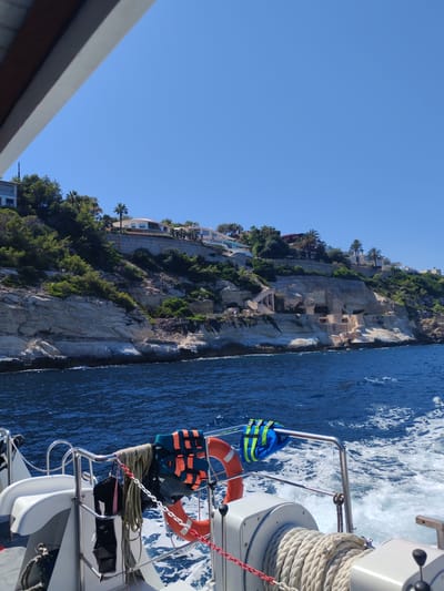 The image depicts a view from a boat traveling on the water, with a rocky coastline and buildings visible on a hillside. The water is a deep blue, with white foam trailing behind the boat, indicating movement. On the railing of the boat, several objects are visible, including an orange life preserver, a blue and yellow life jacket, and coiled ropes. A black dive fin and mask hang from the railing as well.
The coastline is characterized by light-colored, layered rock formations with sparse green vegetation growing from crevices and along the top. Several modern buildings with white facades and red tile roofs are situated on the terraced hillside, surrounded by trees, including palm trees. Some of the buildings appear to be villas or homes. There are also visible man-made structures along the cliff face, including stairs and what appear to be cave entrances or alcoves.
The sky is a clear, bright blue, suggesting a sunny day. The angle of the light and the clear sky indicate it is likely daytime. The presence of life preservers and the open water setting suggest the activity is recreational boating or a tour. The location cues of palm trees and coastal architecture are consistent with a Mediterranean setting. There is no visible text in the image. The overall mood is one of a pleasant, sunny day at sea, likely during a vacation or excursion.