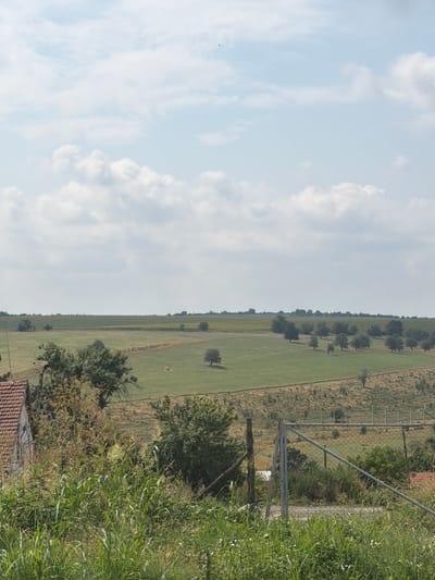 The image depicts a rural landscape under a cloudy sky, with a focus on agricultural fields and scattered trees. In the foreground, a partially visible building with a red tiled roof is seen on the left, surrounded by tall, green vegetation. A wire fence with metal posts extends across the mid-ground, separating different areas of the landscape. Beyond the fence, rolling green fields are visible, interspersed with clusters of trees. In the distance, a vast field of crops, possibly sunflowers or a similar yellow-flowering plant, stretches towards the horizon. The overall impression is one of an open, agricultural area with a natural, uncultivated feel in the immediate foreground. The scene is devoid of any people or animals. The specific location in the city of Prosena, Bulgaria, is not visually indicated within the image itself.