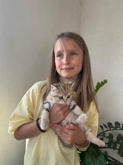 A young girl with long blonde hair is holding a small kitten. The girl is wearing a yellow t-shirt and a black spiral bracelet on her left wrist. The kitten is light brown with darker stripes. They are standing in front of a plain, textured wall. A green plant is visible to the right of the girl. The scene is well-lit, suggesting it is daytime. The overall atmosphere appears calm and domestic.