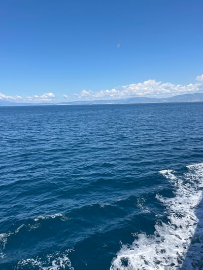 A wide shot captures a vast expanse of deep blue ocean under a clear blue sky. In the distance, a hazy coastline with mountains is visible. The ocean surface is textured with gentle ripples and a frothy white wake trails from the right side of the frame, suggesting the perspective of a moving vessel. A single white bird is in flight in the upper portion of the sky. The scene appears to be from a boat traveling in the waters near Thassos, Greece, on a bright, sunny day.