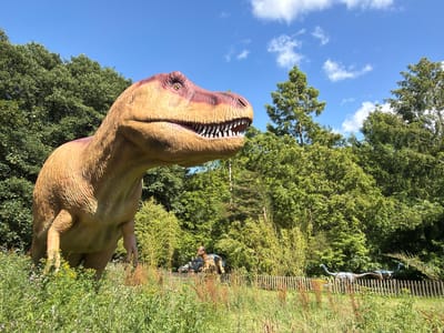 This media file captures an outdoor scene, likely at a dinosaur park or museum, with a focus on dinosaur models and natural surroundings. In the foreground, a large, realistic model of a Tyrannosaurus Rex's head is prominently displayed, its mouth open to reveal sharp teeth and its eye visible. The model has a textured, brown and pinkish-tan skin. The background features a dense green forest, with tall trees and lush vegetation. A wooden fence runs horizontally across the upper portion of the image. Beyond the fence, other dinosaur models are visible, including what appears to be a silver, bipedal dinosaur and another, more subdued model of a dinosaur or prehistoric creature. The sky is a clear blue with scattered white clouds, suggesting fair weather and daytime. The image is oriented sideways. One crop shows a portion of a sign with yellow text, though the text itself is not clearly legible. The overall impression is of an exhibit designed to recreate a prehistoric environment for visitors.