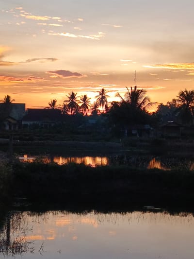 This image captures a serene sunset scene in Sangso, Indonesia. The sky is ablaze with warm hues of orange, yellow, and pink, painted with soft, wispy clouds. Silhouetted against this vibrant backdrop are several tall palm trees, their fronds reaching upwards, and the rooftops of a few houses. The lower half of the image is dominated by the calm reflection of the sky and the land in a body of water.
The scene appears to be a rural or semi-rural setting, given the presence of houses, vegetation, and what looks like agricultural fields or a pond. The time of day is clearly sunset, as indicated by the dramatic colors in the sky and the long shadows cast by the objects. The weather appears to be clear, with the clouds contributing to the beautiful sunset display.
The overall mood of the image is tranquil and peaceful. The reflections in the water add to the sense of stillness and beauty. There are no people or explicit objects of activity visible, suggesting a moment of quiet observation of nature's spectacle. The location cues point to Sangso, Indonesia, suggesting a tropical or subtropical environment, which is consistent with the presence of palm trees. No text is visible in the image.