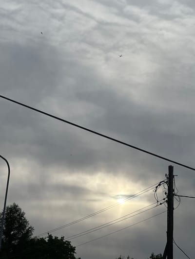The image shows a cloudy sky with the sun partially obscured by clouds, creating a hazy bright area. Two silhouetted birds are visible in the sky. In the foreground, a dark power line runs diagonally across the frame. To the right, a wooden utility pole with numerous wires and insulators stands tall. On the left side of the image, a dark silhouette of a street lamp and the top of a coniferous tree are visible. The scene appears to be an outdoor shot, possibly in a suburban or semi-urban area, as suggested by the utility pole and street lamp, consistent with the location of Harkujärve, Estonia.